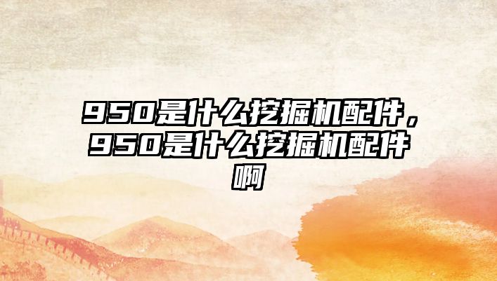 950是什么挖掘機配件，950是什么挖掘機配件啊