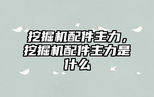 挖掘機(jī)配件主力，挖掘機(jī)配件主力是什么