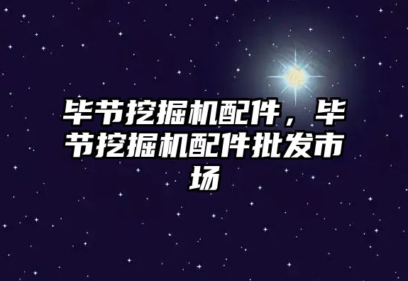 畢節(jié)挖掘機配件，畢節(jié)挖掘機配件批發(fā)市場