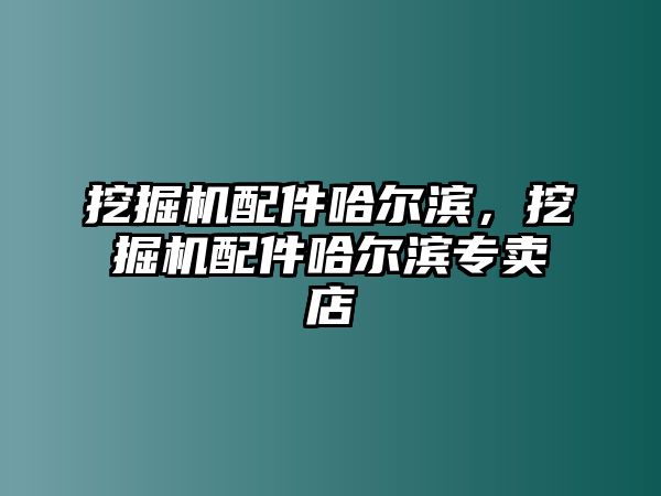 挖掘機配件哈爾濱，挖掘機配件哈爾濱專賣店