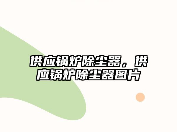 供應鍋爐除塵器，供應鍋爐除塵器圖片