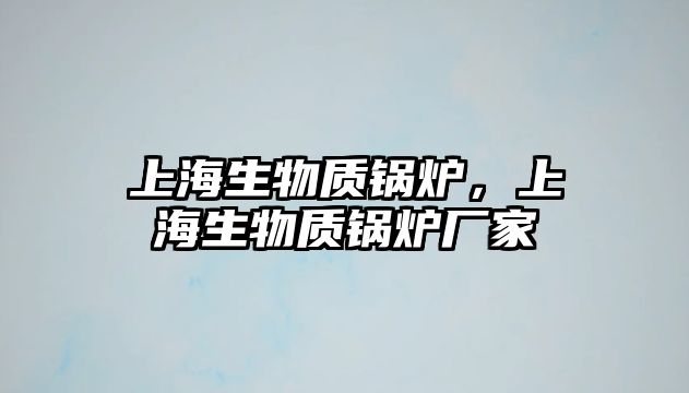 上海生物質鍋爐，上海生物質鍋爐廠家