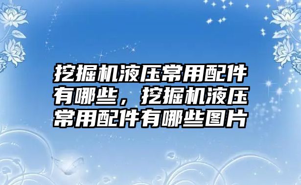 挖掘機(jī)液壓常用配件有哪些，挖掘機(jī)液壓常用配件有哪些圖片