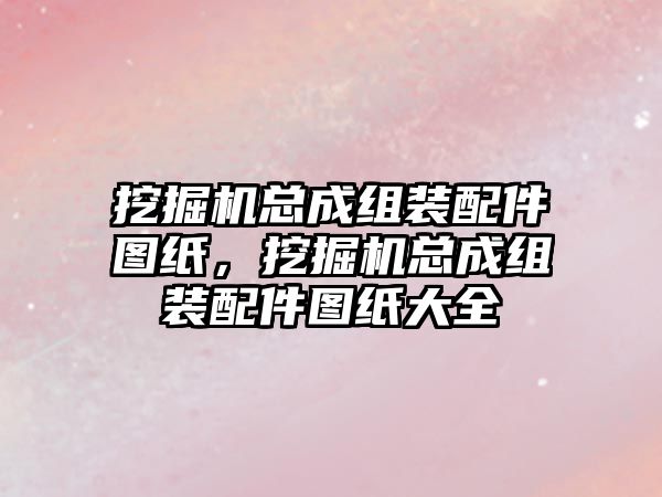 挖掘機總成組裝配件圖紙，挖掘機總成組裝配件圖紙大全