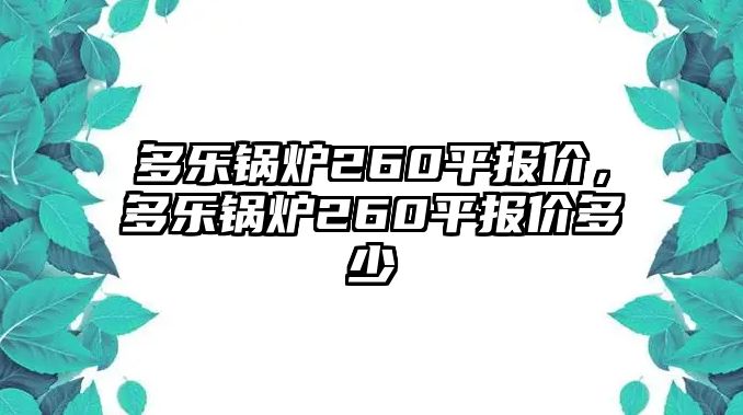 多樂鍋爐260平報價，多樂鍋爐260平報價多少