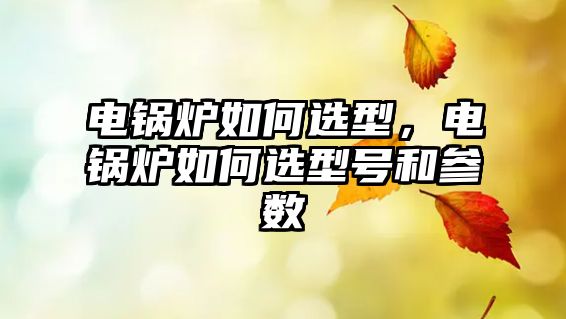 電鍋爐如何選型，電鍋爐如何選型號和參數