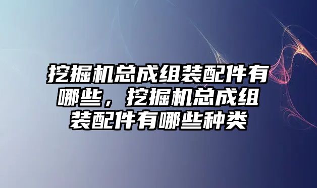 挖掘機(jī)總成組裝配件有哪些，挖掘機(jī)總成組裝配件有哪些種類