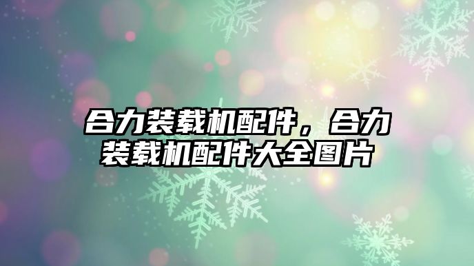 合力裝載機配件，合力裝載機配件大全圖片