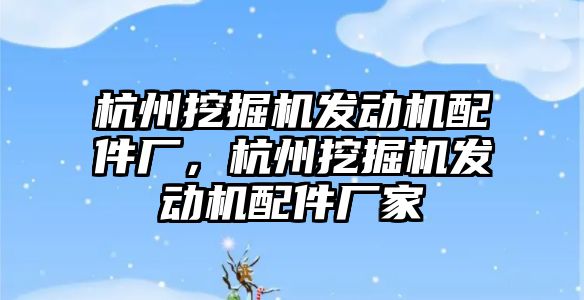 杭州挖掘機發動機配件廠，杭州挖掘機發動機配件廠家