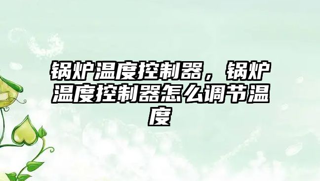 鍋爐溫度控制器，鍋爐溫度控制器怎么調節溫度