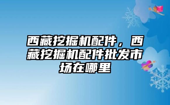 西藏挖掘機(jī)配件，西藏挖掘機(jī)配件批發(fā)市場在哪里