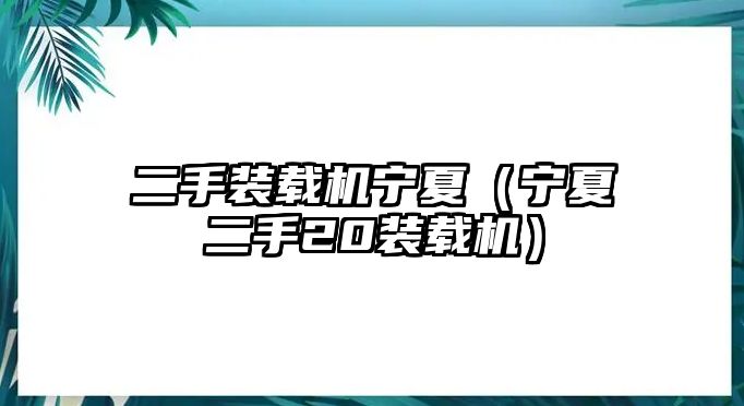 二手裝載機寧夏（寧夏二手20裝載機）