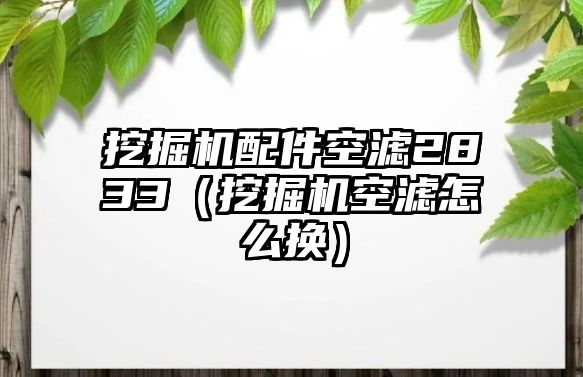 挖掘機配件空濾2833（挖掘機空濾怎么換）