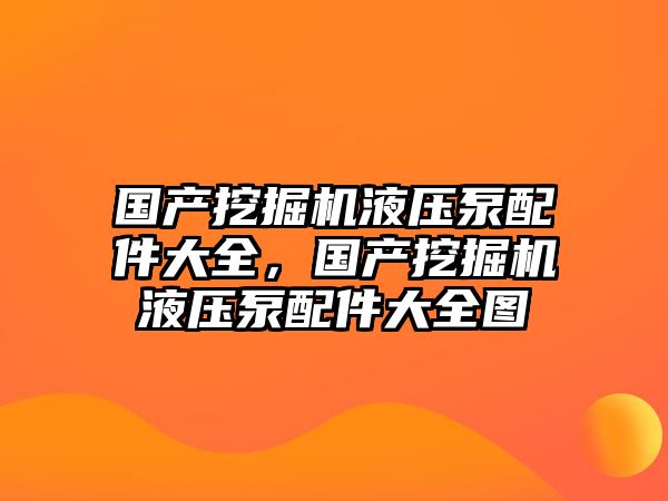 國產(chǎn)挖掘機液壓泵配件大全，國產(chǎn)挖掘機液壓泵配件大全圖