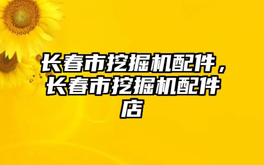 長春市挖掘機配件，長春市挖掘機配件店