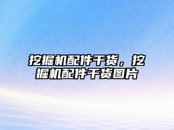 挖掘機配件干貨，挖掘機配件干貨圖片