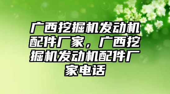 廣西挖掘機發動機配件廠家，廣西挖掘機發動機配件廠家電話