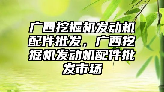 廣西挖掘機發(fā)動機配件批發(fā)，廣西挖掘機發(fā)動機配件批發(fā)市場