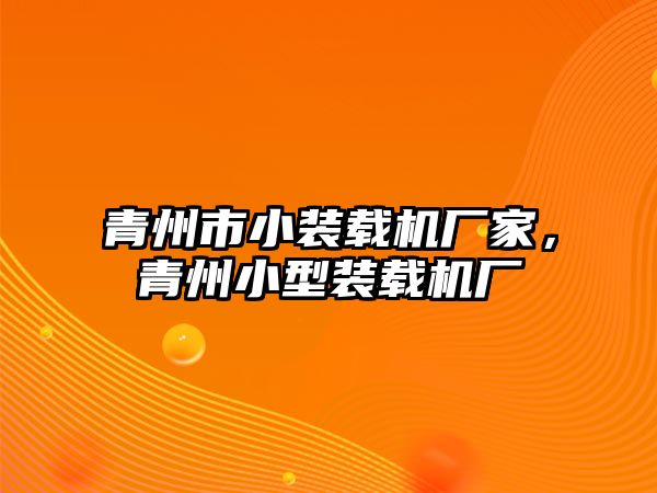 青州市小裝載機(jī)廠家，青州小型裝載機(jī)廠