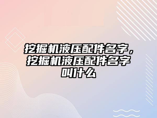 挖掘機液壓配件名字，挖掘機液壓配件名字叫什么