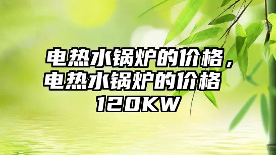 電熱水鍋爐的價格，電熱水鍋爐的價格 120KW