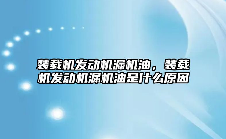 裝載機發(fā)動機漏機油，裝載機發(fā)動機漏機油是什么原因