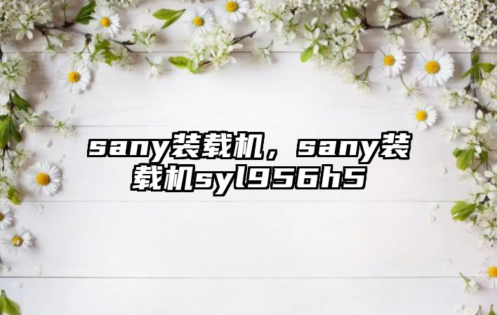 sany裝載機(jī)，sany裝載機(jī)syl956h5