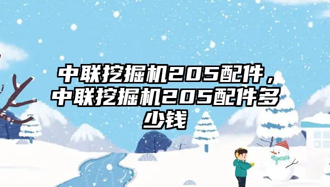 中聯挖掘機205配件，中聯挖掘機205配件多少錢