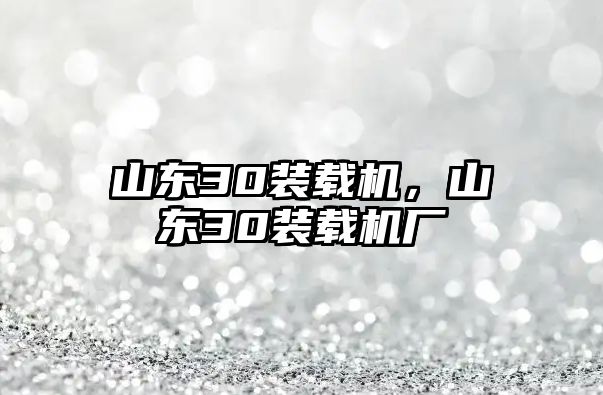 山東30裝載機，山東30裝載機廠