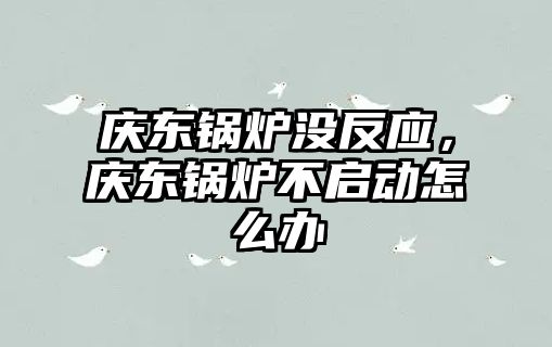 慶東鍋爐沒反應，慶東鍋爐不啟動怎么辦