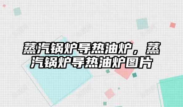 蒸汽鍋爐導熱油爐，蒸汽鍋爐導熱油爐圖片