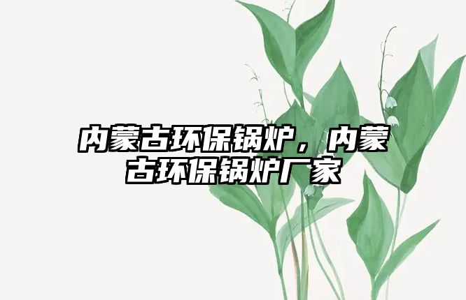 內蒙古環保鍋爐，內蒙古環保鍋爐廠家