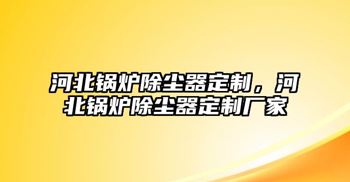 河北鍋爐除塵器定制，河北鍋爐除塵器定制廠家