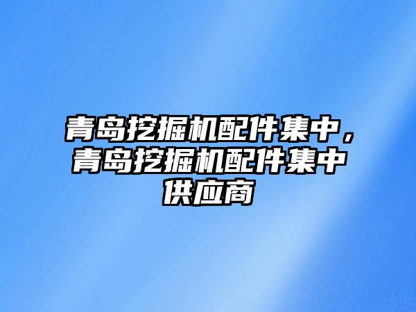 青島挖掘機配件集中，青島挖掘機配件集中供應商