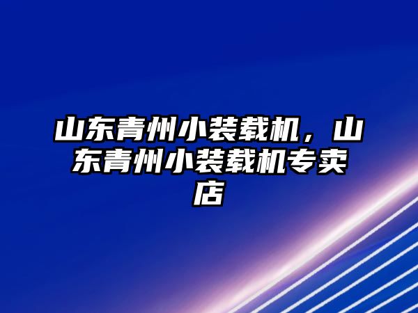 山東青州小裝載機，山東青州小裝載機專賣店