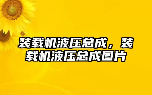 裝載機液壓總成，裝載機液壓總成圖片