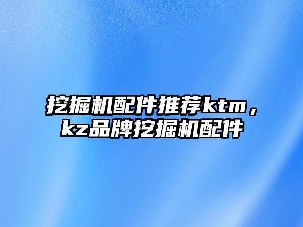 挖掘機配件推薦ktm，kz品牌挖掘機配件