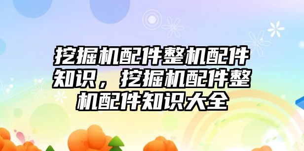 挖掘機(jī)配件整機(jī)配件知識，挖掘機(jī)配件整機(jī)配件知識大全