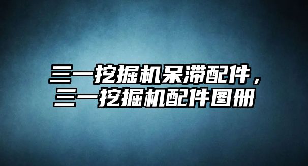 三一挖掘機呆滯配件，三一挖掘機配件圖冊