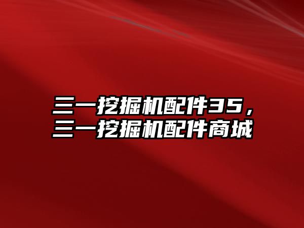 三一挖掘機(jī)配件35，三一挖掘機(jī)配件商城