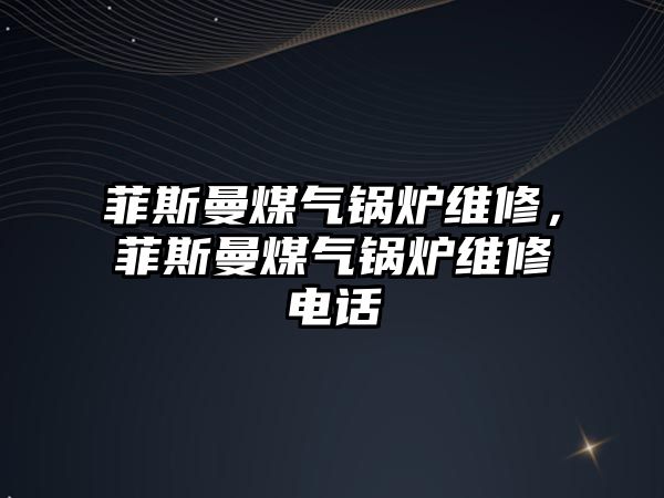 菲斯曼煤氣鍋爐維修，菲斯曼煤氣鍋爐維修電話(huà)