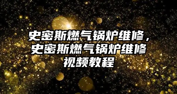 史密斯燃氣鍋爐維修，史密斯燃氣鍋爐維修視頻教程