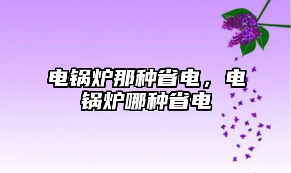 電鍋爐那種省電，電鍋爐哪種省電