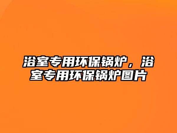 浴室專用環保鍋爐，浴室專用環保鍋爐圖片