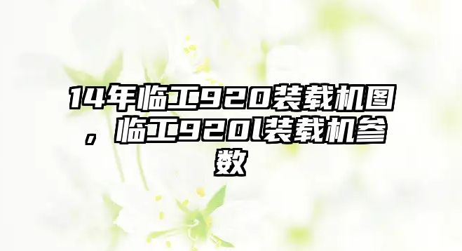 14年臨工920裝載機圖，臨工920l裝載機參數