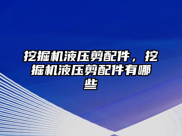 挖掘機液壓剪配件，挖掘機液壓剪配件有哪些