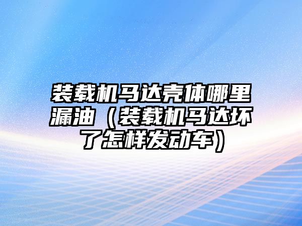 裝載機(jī)馬達(dá)殼體哪里漏油（裝載機(jī)馬達(dá)壞了怎樣發(fā)動車）