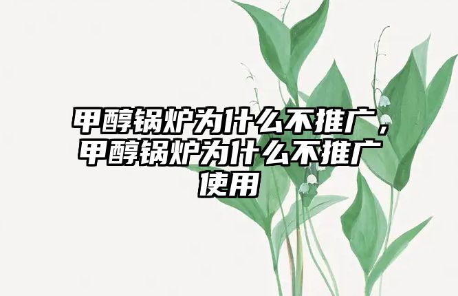 甲醇鍋爐為什么不推廣，甲醇鍋爐為什么不推廣使用