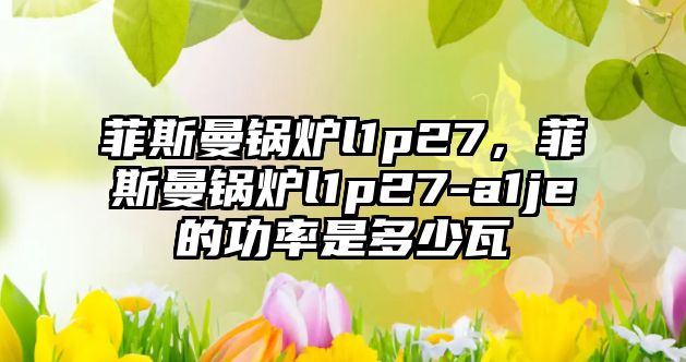 菲斯曼鍋爐l1p27，菲斯曼鍋爐l1p27-a1je的功率是多少瓦