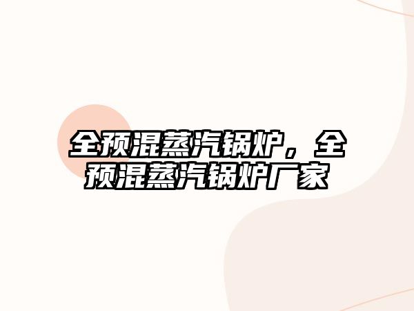 全預混蒸汽鍋爐，全預混蒸汽鍋爐廠家